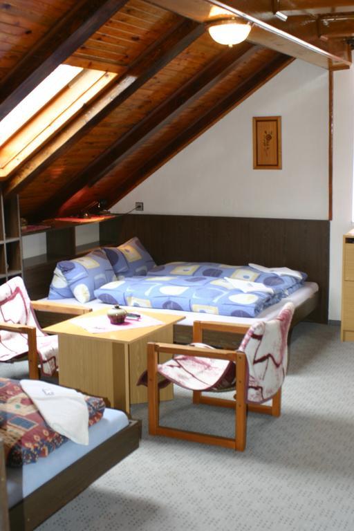 Pension U Vlášků Karlovy Vary Habitación foto